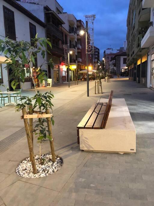 Estudio Con Amplia Terraza En Puerto De La Cruz Dış mekan fotoğraf